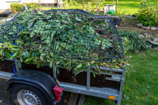 Best Estate Cleanout  in Parksdale, CA